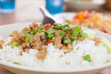 Rice topped with stir-fried pork and basil