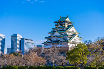 Fototapeta premium 西の丸公園から見た、よく晴れた朝の大阪城とビジネスパーク