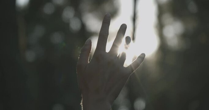 Hand of person touches beautiful sunrays in forestry area, close up back shot