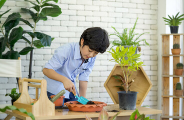 Asian boy spent holiday taking care of indoor garden, mixing soil and fertilizer with blue...