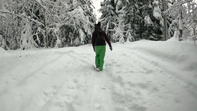 person walking in winter forest