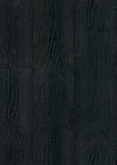 Beautiful quarter cut black walnut wood texture seamless