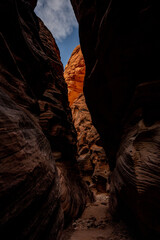 Bright Orange Rocks Pop Out At The End of A Dark Slot Canyon