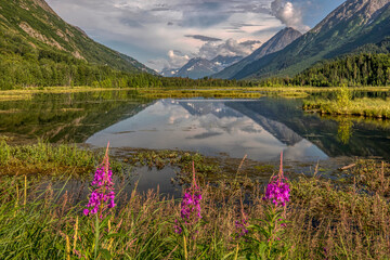 Alaska's Kenai Peninsula scenery