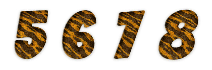 Tiger font, number 5, 6, 7, 8 with fur hairy texture. Realistic 3D design with clipping path ready to use. For your creative collection of fun font, text, headlines in tiger year or animal concept