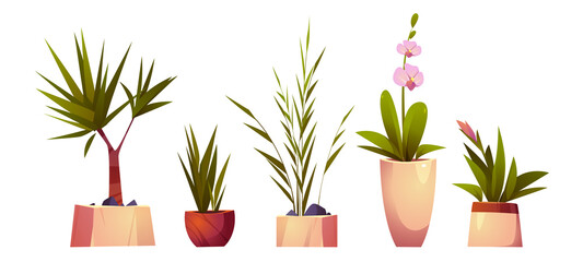 House plants in pots for home interior decoration. Vector cartoon set of planters with flowers with green leaves and blossoms, palm tree, dracaena and orchid isolated on white background