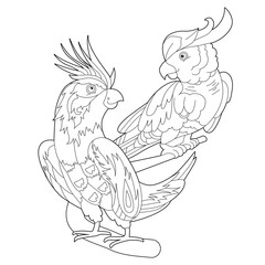 Contour linear illustration for coloring book with two pretty birds. Beautiful cute couple,  anti stress picture. Line art design for adult or kids  in zen-tangle style, tattoo and coloring page