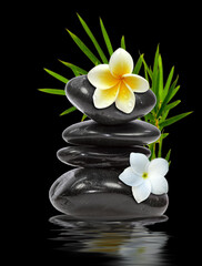Création zen avec galets, feuilles de bambou et fleurs de frangipanier 