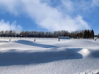 雪景色