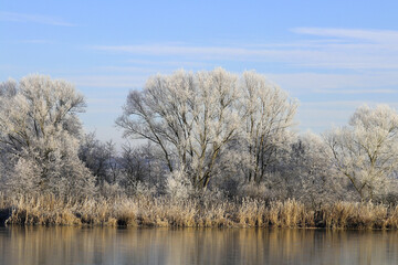Hintergrund Winter an einem See in Bayern