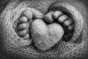 The tiny foot of a newborn baby. Soft feet of a new born in a wool blanket. Close up of toes, heels and feet of a newborn. Knitted heart in the legs of baby. Macro photography. Black and white.
