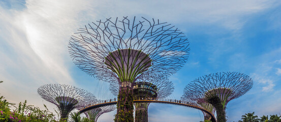 Canopy of Supertrees at Gardens By The Bay, Singapore