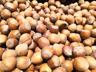 noisette brun  fruit 