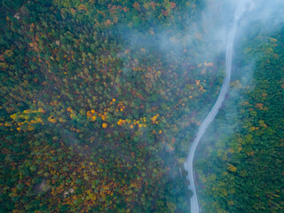 Aerial drone view of a curved winding road in autumn forest. South Korea. S자 도로, 가을 풍경, 도로, 단풍
