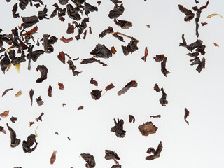 Fototapeta na wymiar Dry tea leaves isolated on a white background.