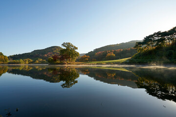 Beautiful reflections in a lake in autumn. 용유지, 용비지, 가을, 호수, 반영