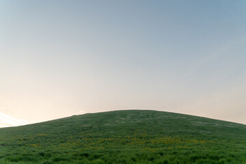 Saebyeol Oreum in Jeju, 제주 새별오름