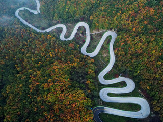 Aerial drone view of a curved winding road in autumn forest. South Korea. S자 도로, 가을 풍경, 도로, 단풍, 말티재, 속리산
