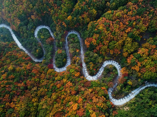 Aerial drone view of a curved winding road in autumn forest. South Korea. S자 도로, 가을 풍경, 도로, 단풍.
