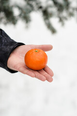 Tangerine in hand