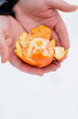 Hand holding fresh purified mandarin