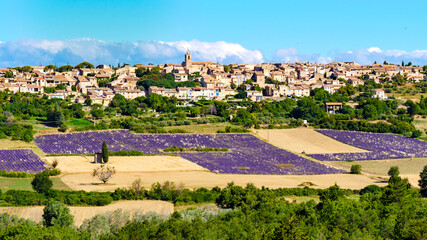Hilltop Puimoisson village, Provence France