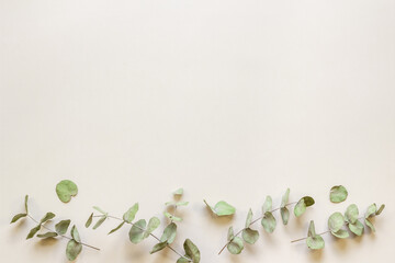 Frame floral pattern with eucalyptus leaves and branches © 279photo