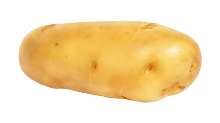 Raw fresh potato tuber isolated
