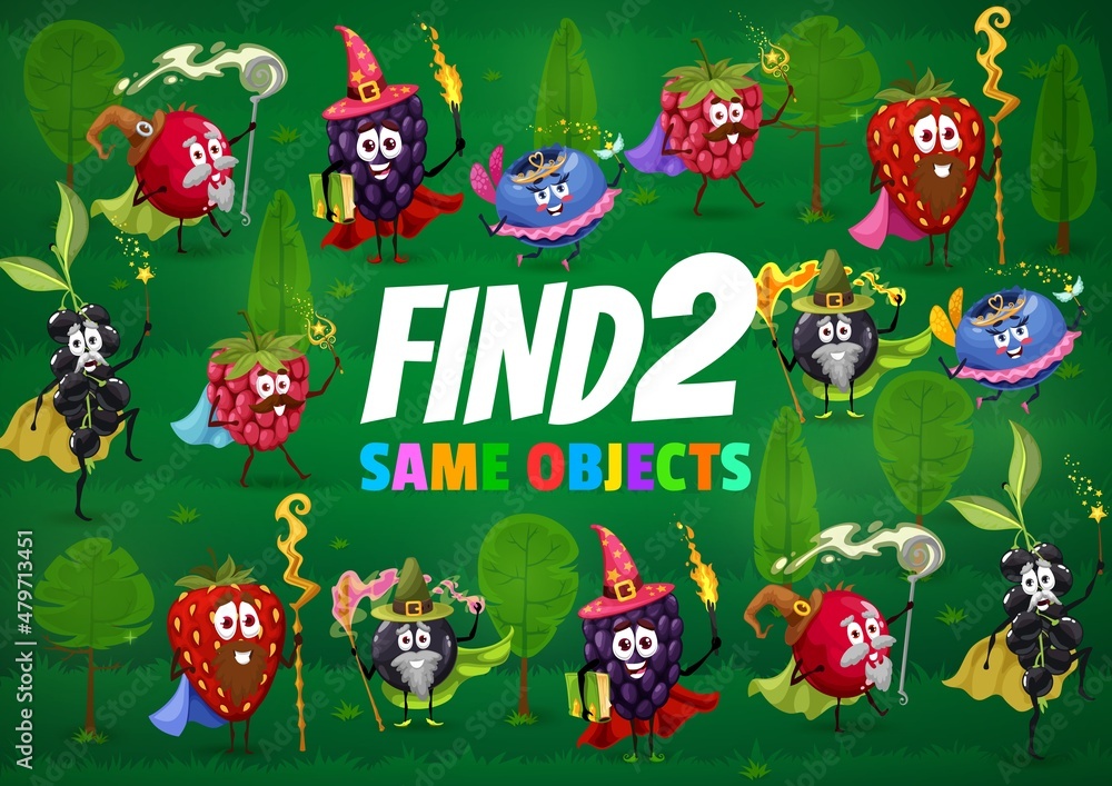 Poster find two same berry wizard, mage, warlock and fairy characters, vector game worksheet. matching game
