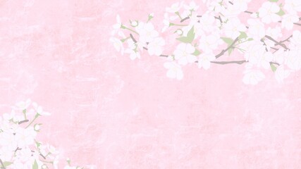 Fototapeta na wymiar background with cherry blossom