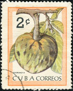 CUBA - CIRCA 1963: A postage stamp printed in the Cuba shows tropical fruit cherimoya
