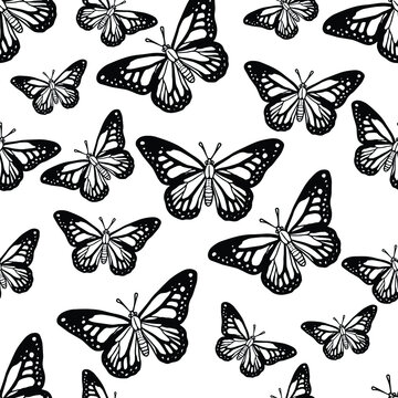 Butterflies Beautiful pattern for decor