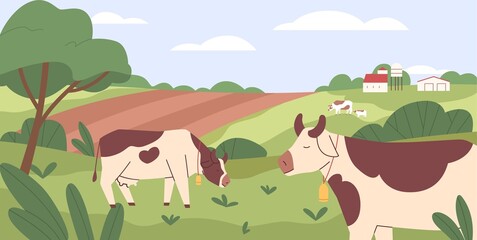 Milk cows grazing in pasture, eating grass. Farm domestic animals, heifers in grassland. Free-range cattle on farmland. Country field. Rural landscape. Flat vector illustration of countryside ranch