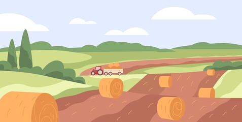 Farm field with hay bales. Dry wheat grass rolls in agriculture grassland. Haystacks and tractor in countryside. Country landscape, panoramic view. Rural scenery panorama. Flat vector illustration