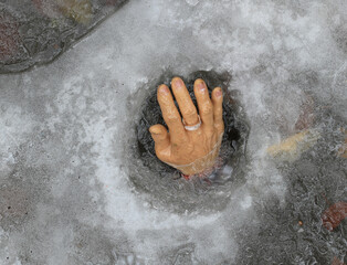 dead hand frozen in ice
