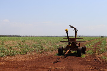 Water Canon in the sugarcane field