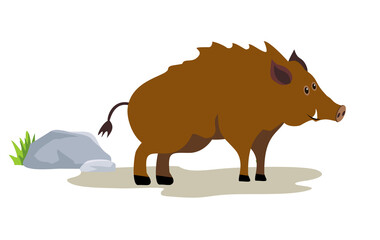 Wild boar cartoon on white background. Cute boars or warthog character. Vector illustration with wild pig