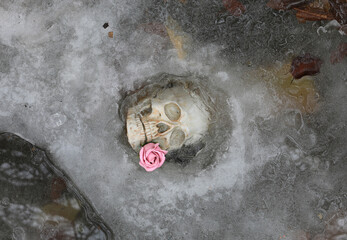human skull frozen in ice
