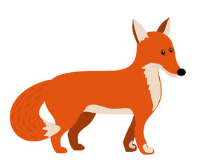 Cute fox in simple flat style. Woodland forest animal. Design can be used for fashion t-shirt, greeting card, baby shower. Vector illustration. Isolated objects on white background.