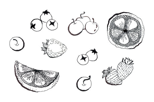 Linear berry fruit icons isolated illustration set hand drawn