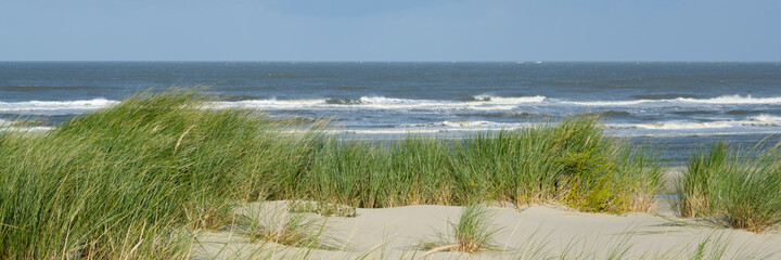 Dünenlandschaft an der Nordseeküste, Insel Wangerooge, Ostfriesland, Niedersachsen, Deutschland,...