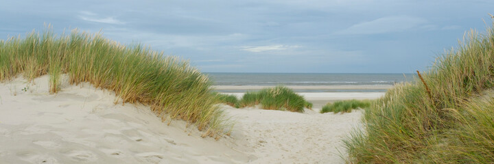 Dünenlandschaft an der Nordseeküste, Insel Wangerooge, Ostfriesland, Niedersachsen, Deutschland,...