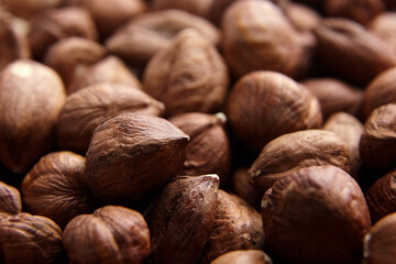 Shelled raw hazelnuts background closeup