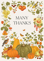 Many Thanks. Harvest. Greeting card for Thanksgiving Day. Autumn botanical illustration.