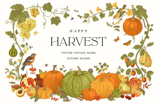 Happy Harvest. Vector Frame. Autumn Botanical Illustration.