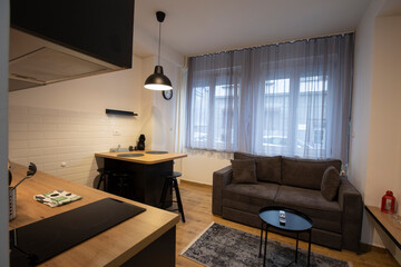 Open plan apartment interior with kitchen and dining space