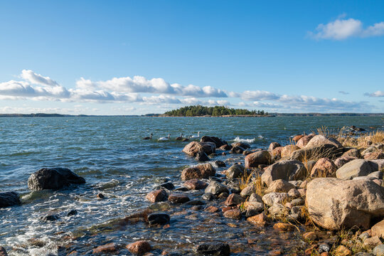 Rocky coastal view and Gulf of Finland, shore, sea and family of the mute swans, Kopparnas-Klobbacka recreation area, Finland