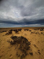 Beautiful nature landscape with sand beach and ocean view. Dramatic sunset bad weather sky. Concept of eautiful wild places and travel.