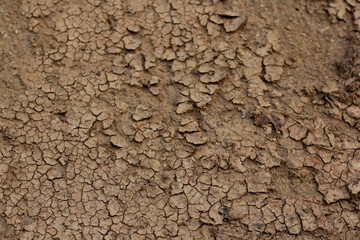 Brown dry land background At the top view