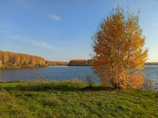 Golden autumn. The shore of the forest lake